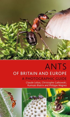 ANTS OF BRITAIN AND EUROPE *
