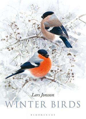 WINTER BIRDS *