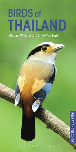 POCKET PHOTO GUIDE TO THE BIRDS OF THAILAND  *