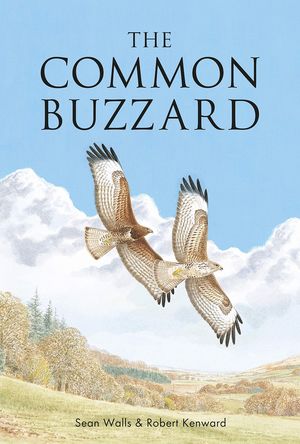 THE COMMON BUZZARD *