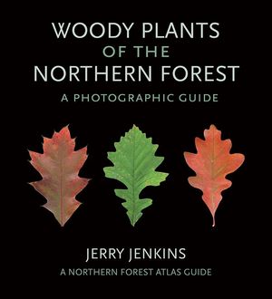 WOODY PLANTS OF THE NORTHERN FOREST: *