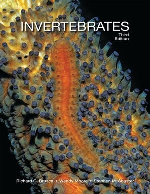 INVERTEBRATES *