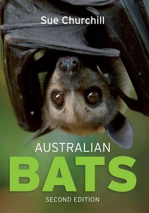 AUSTRALIAN BATS  *