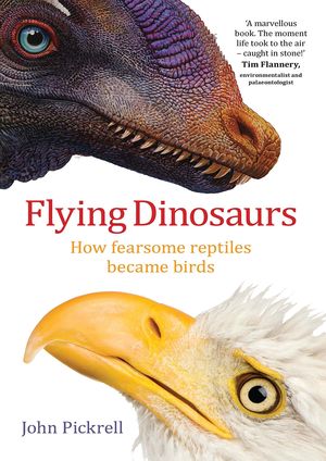 FLYING DINOSAURS *