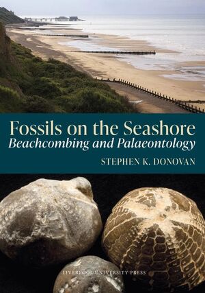 FOSSILS ON THE SEASHORE * (POR ENCARGO 4-5 SEM.APROX.)