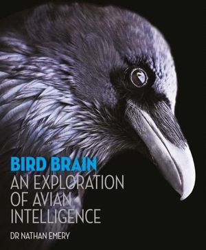 BIRD BRAIN: AN EXPLORATION OF AVIAN INTELLIGENCE *