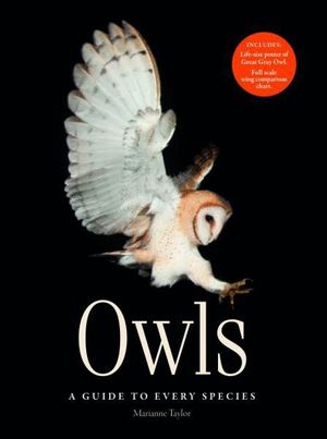 OWLS: A GUIDE TO EVERY SPECIES *