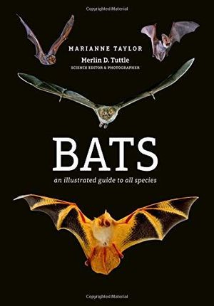 BATS: *