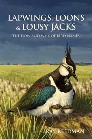 LAPWINGS, LOONS AND LOUSY JACKS: *