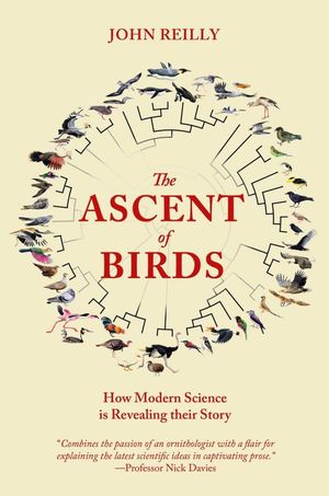 THE ASCENT OF BIRDS *