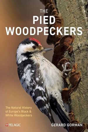 THE PIED WOODPECKERS *