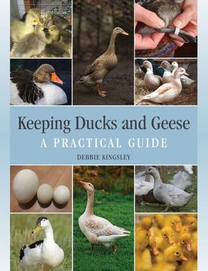 KEEPING DUCKS AND GEESE: *