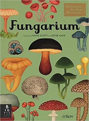 FUNGARIUM *