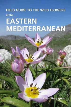 FIELD GUIDE TO THE WILD FLOWERS OF THE EASTERN MEDITERRANEAN *