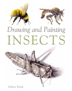 DRAWING AND PAINTING INSECTS *
