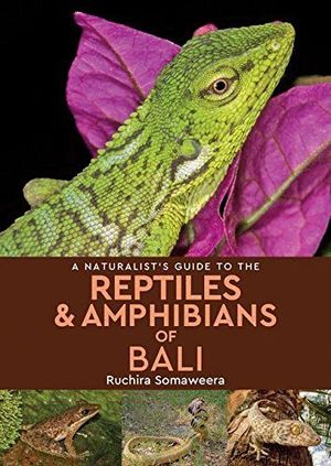 A NATURALIST'S GUIDE TO THE REPTILES & AMPHIBIANS OF BALI  *