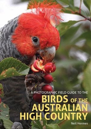A PHOTOGRAPHIC FIELD GUIDE TO THE BIRDS OF THE AUSTRALIAN HIGH COUNTRY *