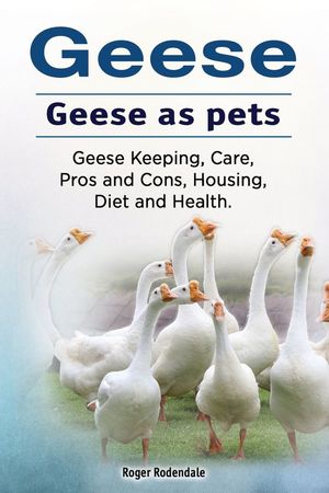 GEESE. GEESE AS PETS *