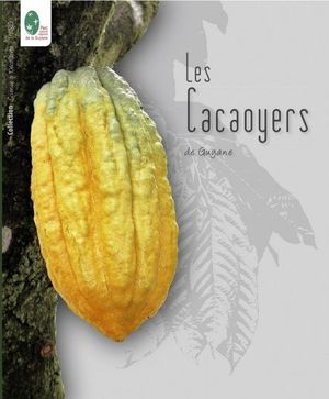 LES CACAOYERS DE GUYANE *