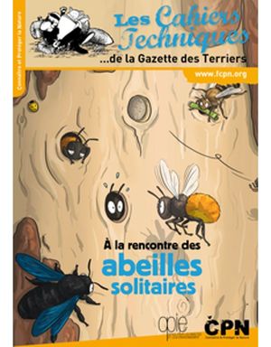 À LA RENCONTRE DES ABEILLES SOLITAIRES *