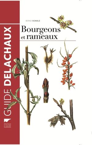 BOURGEONS ET RAMEAUX  *