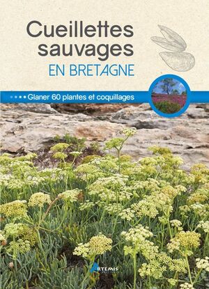 CUEILLETTES SAUVAGES EN BRETAGNE *