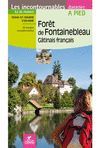 FORÊT DE FONTAINEBLEAU - GÂTINAIS FRANÇAIS *