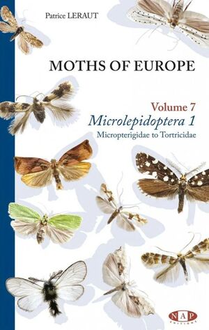 MOTHS OF EUROPE. VOLUME 7 *