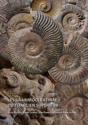 LES GRAMMOCERATINAE DU TOARCIEN SUPÉRIEUR *