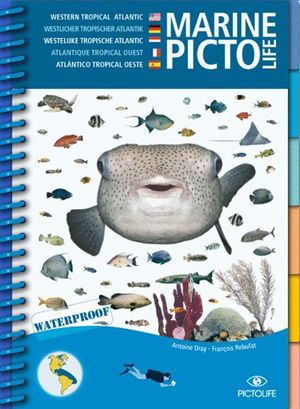 MARINE PICTOLIFE ATLANTIQUE TROPICAL OUEST *