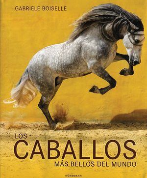 CABALLOS DEL MUNDO *