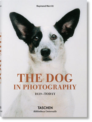 THE DOG IN PHOTOGRAPHY 1839TODAY *