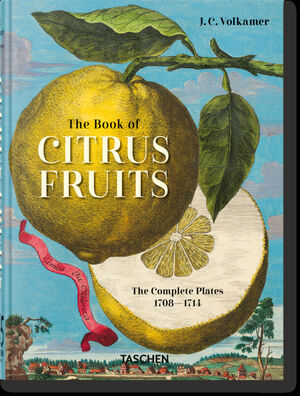 J. C. VOLKAMER. THE BOOK OF CITRUS FRUITS. 45TH ED. *