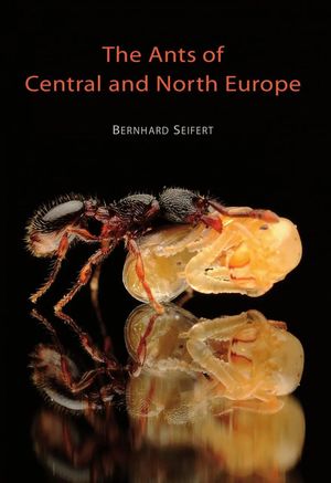 THE ANTS OF CENTRAL AND NORTHERN EUROPE *