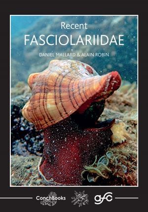 RECENT FASCIOLARIIDAE *