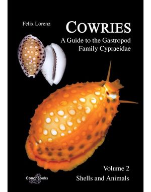 COWRIES – A GUIDE TO THE GASTROPOD FAMILY CYPRAEIDAE, VOLUME 2 *