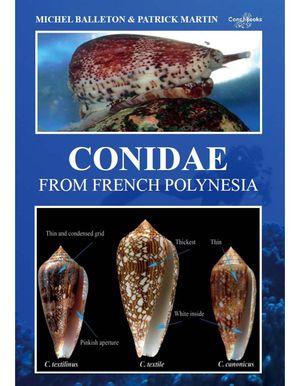 CONIDAE FROM FRENCH POLYNESIA *