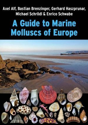 A GUIDE TO MARINE MOLLUSCS OF EUROPE *
