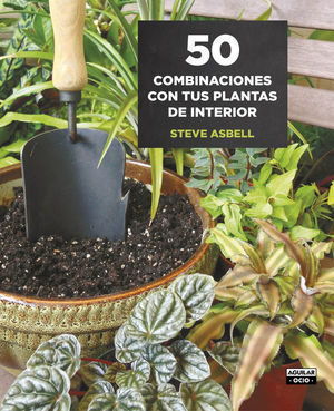 50 COMBINACIONES CON TUS PLANTAS DE  INTERIOR *