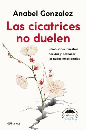 LAS CICATRICES NO DUELEN *