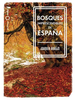 BOSQUES IMPRESCINDIBLES DE ESPAÑA *
