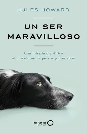 UN SER MARAVILLOSO *