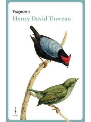 HENRY DAVID THOREAU. FRAGMENTS *