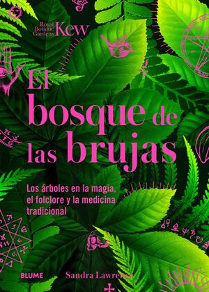 EL BOSQUE DE LAS BRUJAS *