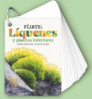 FÍJATE: LÍQUENES Y PLANTAS INFERIORES