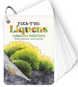 FIXA-T'HI: LÍQUENS I PLANTES INFERIORS