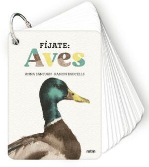 FÍJATE: AVES