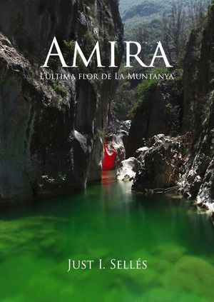 AMIRA  *