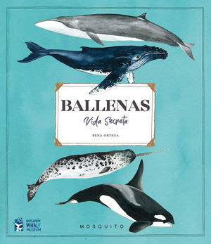 BALLENAS. VIDA SECRETA *