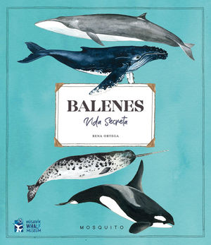 BALENES. VIDA SECRETA *